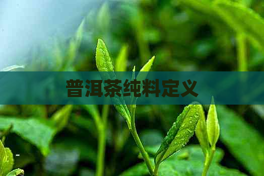 普洱茶纯料定义