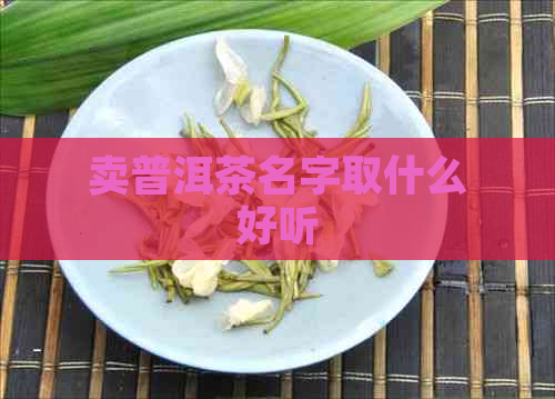 卖普洱茶名字取什么好听