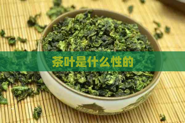 茶叶是什么性的