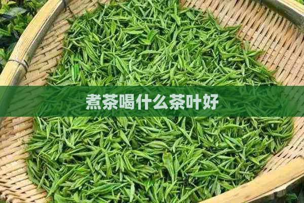 煮茶喝什么茶叶好