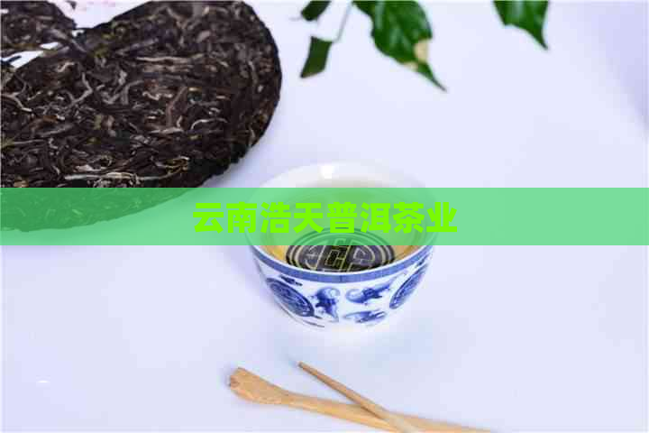 云南浩天普洱茶业