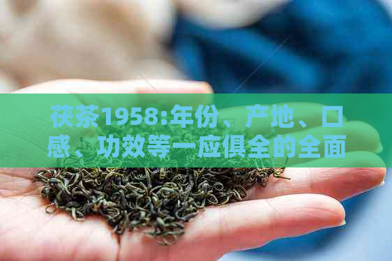 茯茶1958:年份、产地、口感、功效等一应俱全的全面解析