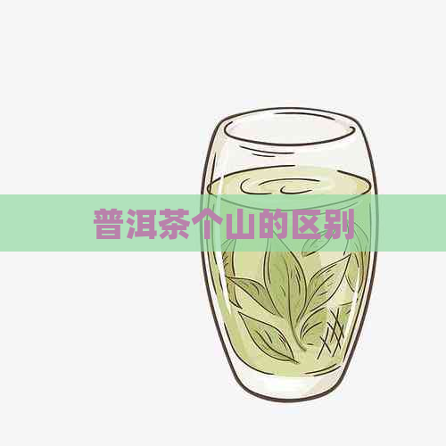 普洱茶个山的区别