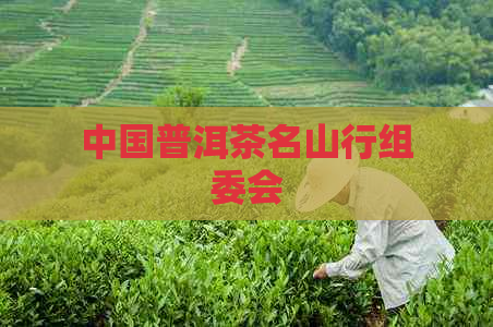 中国普洱茶名山行组委会