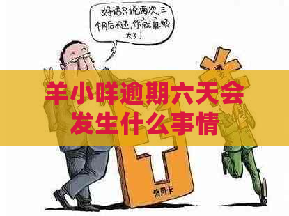 羊小咩逾期六天会发生什么事情