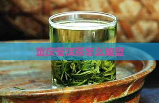 重庆普洱茶怎么加盟