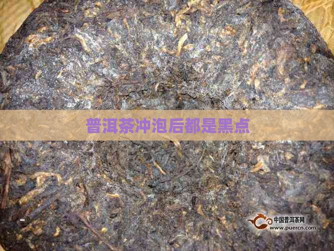 普洱茶冲泡后都是黑点