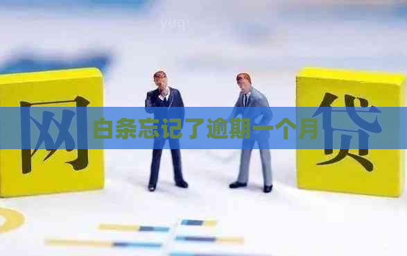 白条忘记了逾期一个月