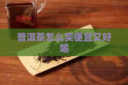 普洱茶怎么买便宜又好喝