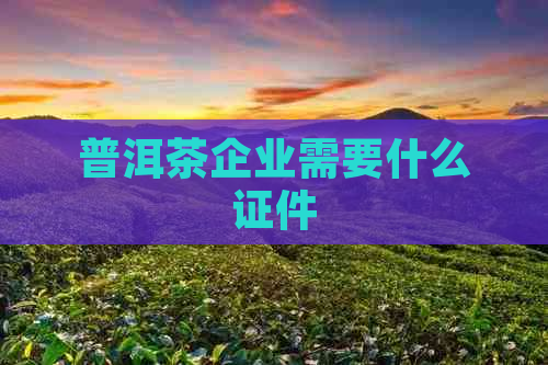 普洱茶企业需要什么证件