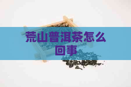 荒山普洱茶怎么回事