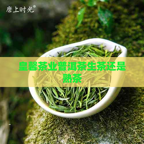 皇馨茶业普洱茶生茶还是熟茶