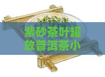 紫砂茶叶罐放普洱茶小号