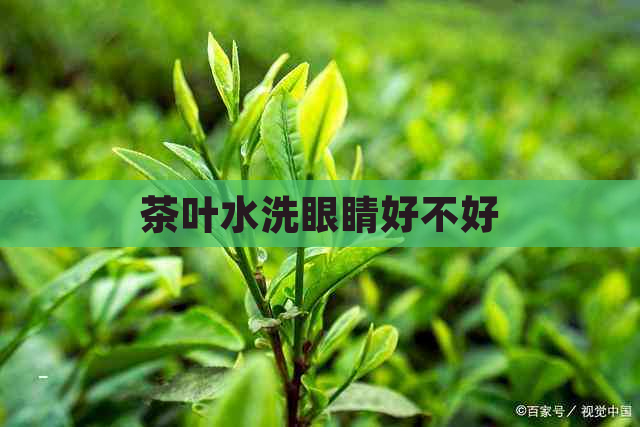 茶叶水洗眼睛好不好