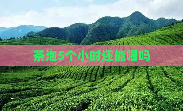 茶泡5个小时还能喝吗