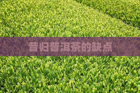 昔归普洱茶的缺点