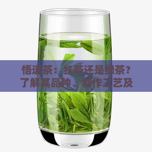 悟道茶：红茶还是绿茶？了解其品种、制作工艺及口感特点的全面指南