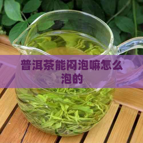 普洱茶能闷泡嘛怎么泡的