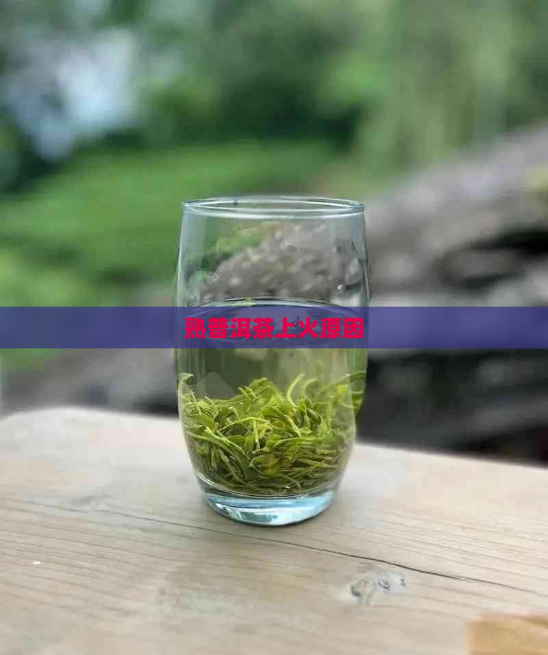 熟普洱茶上火原因