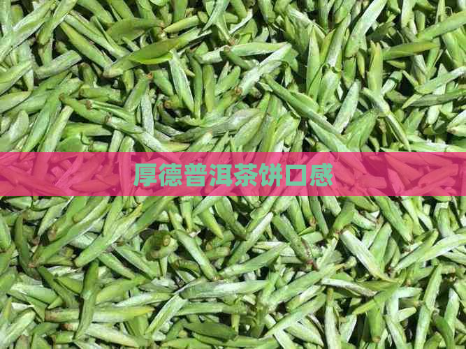 厚德普洱茶饼口感