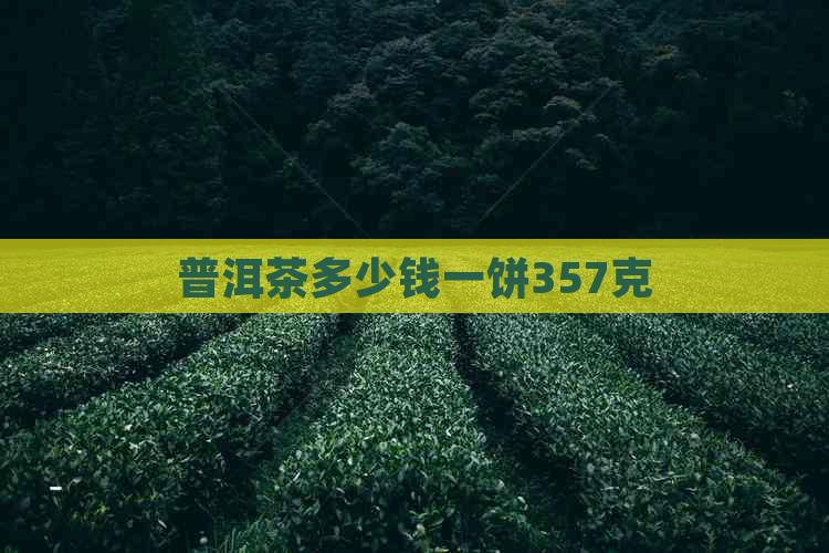 普洱茶多少钱一饼357克