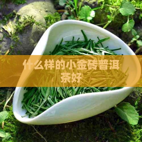 什么样的小金砖普洱茶好