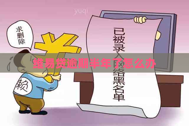 维易贷逾期半年了怎么办