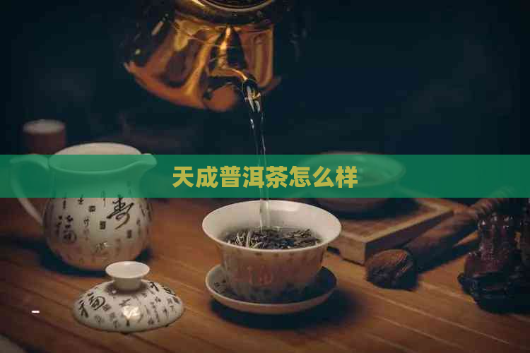 天成普洱茶怎么样