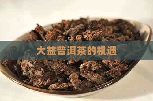 大益普洱茶的机遇