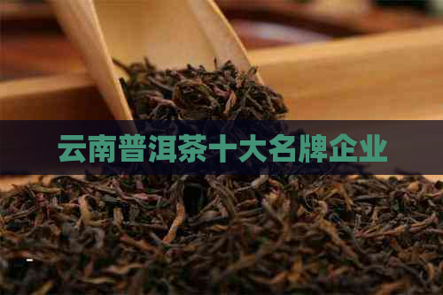 云南普洱茶十大名牌企业