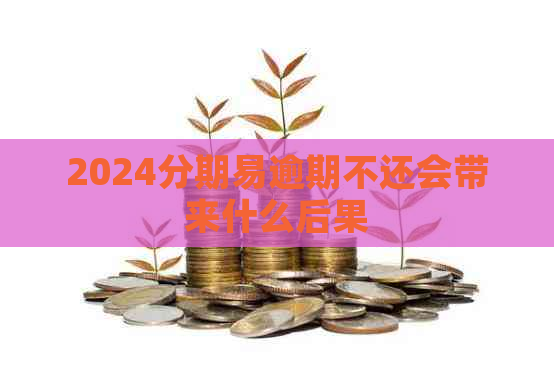 2024分期易逾期不还会带来什么后果