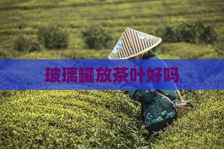 玻璃罐放茶叶好吗