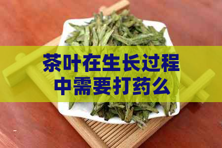 茶叶在生长过程中需要打药么