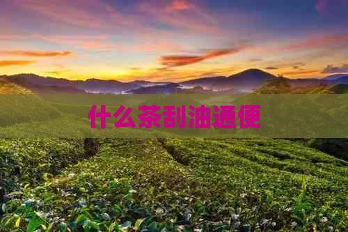 什么茶刮油通便