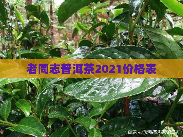 老同志普洱茶2021价格表