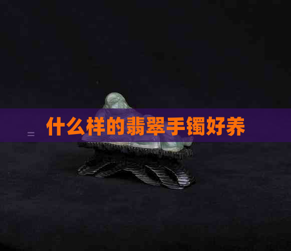 什么样的翡翠手镯好养