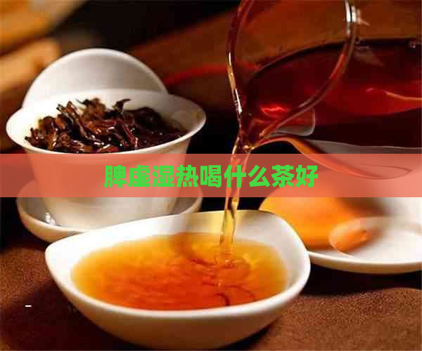 脾虚湿热喝什么茶好