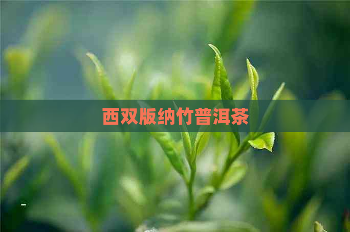 西双版纳竹普洱茶