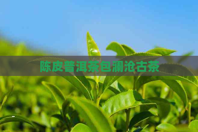 陈皮普洱茶包澜沧古茶