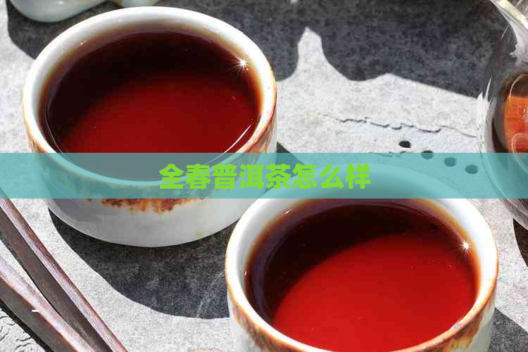 全春普洱茶怎么样