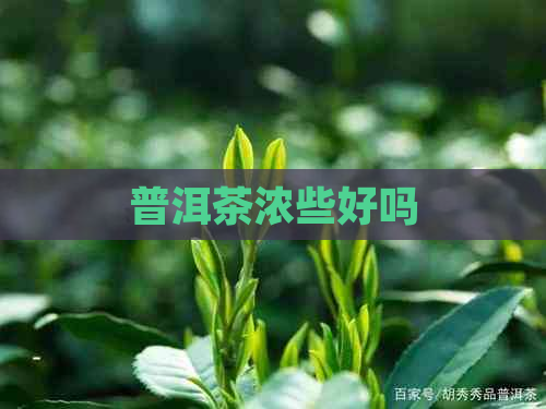 普洱茶浓些好吗