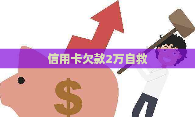 信用卡欠款2万自救