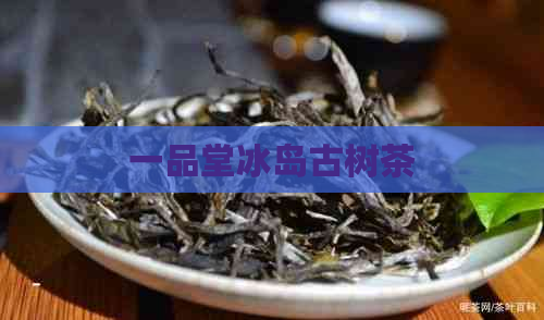 一品堂冰岛古树茶