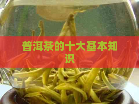 普洱茶的十大基本知识