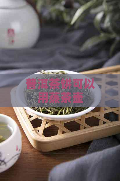 普洱茶饼可以用蒸茶壶