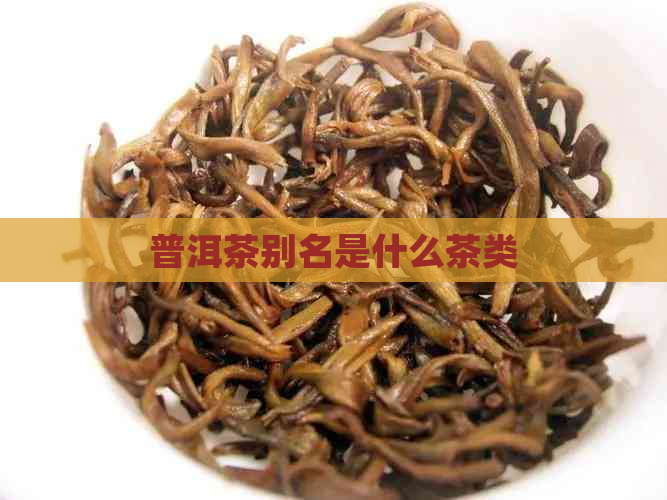 普洱茶别名是什么茶类