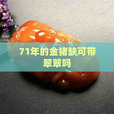 71年的金猪缺可带翠翠吗