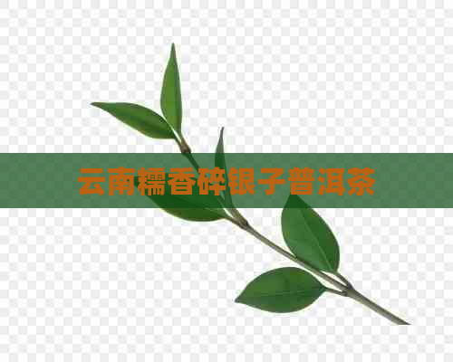 云南糯香碎银子普洱茶