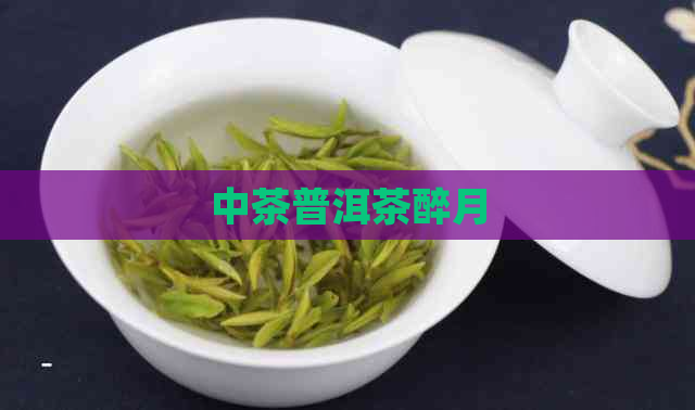 中茶普洱茶醉月