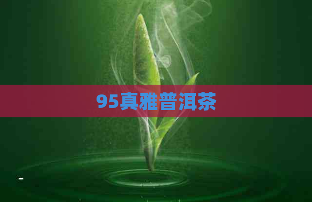 95真雅普洱茶